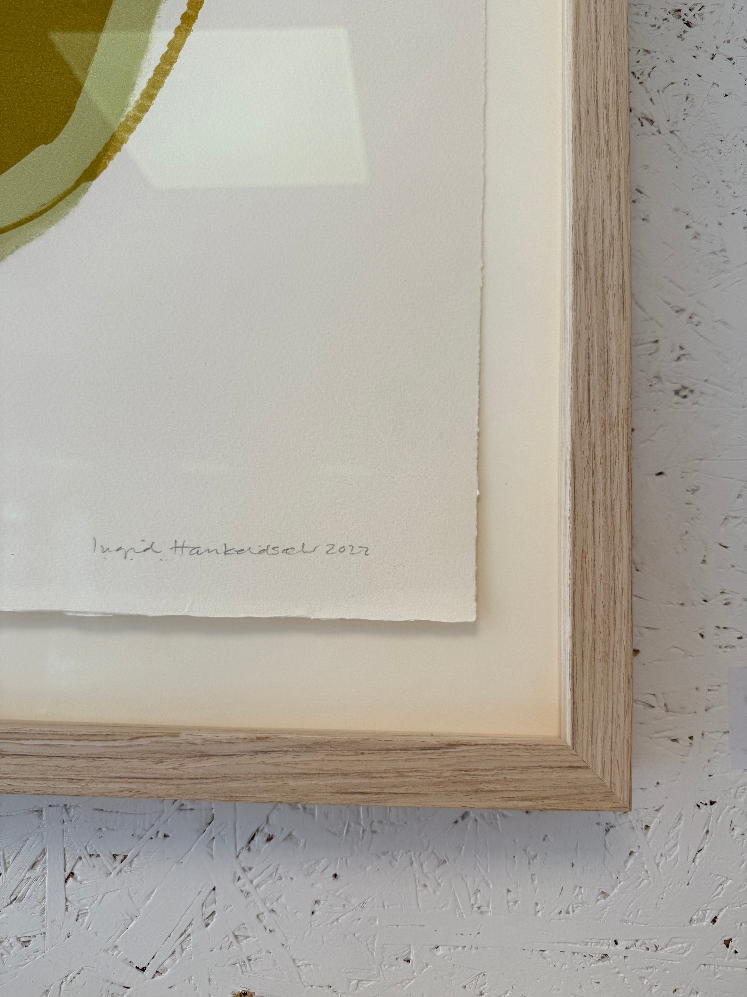 Herbarium II, innrammet