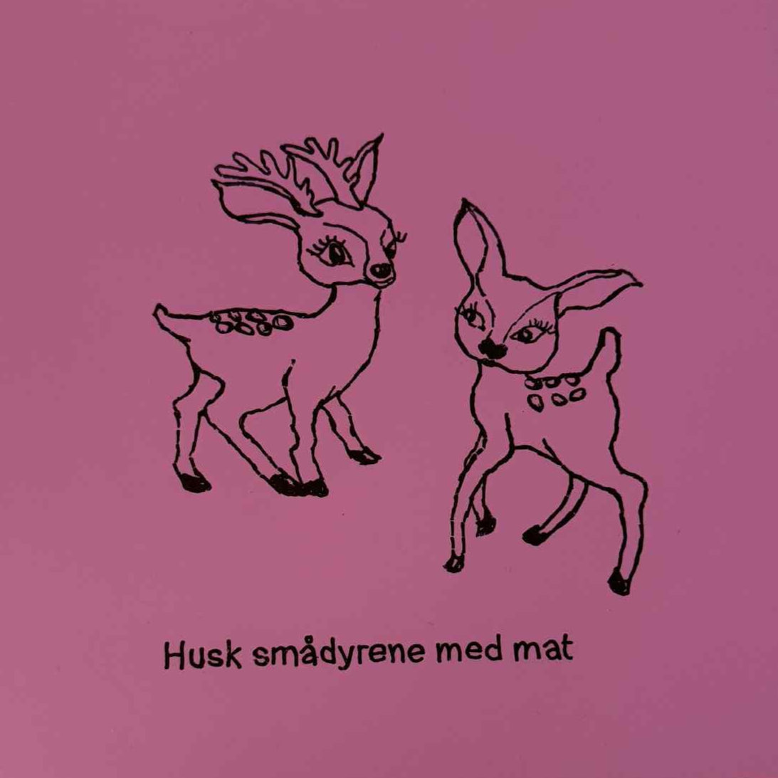 Husk smådyrene med mat