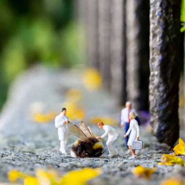 Bee a friend - Dobbelt kort