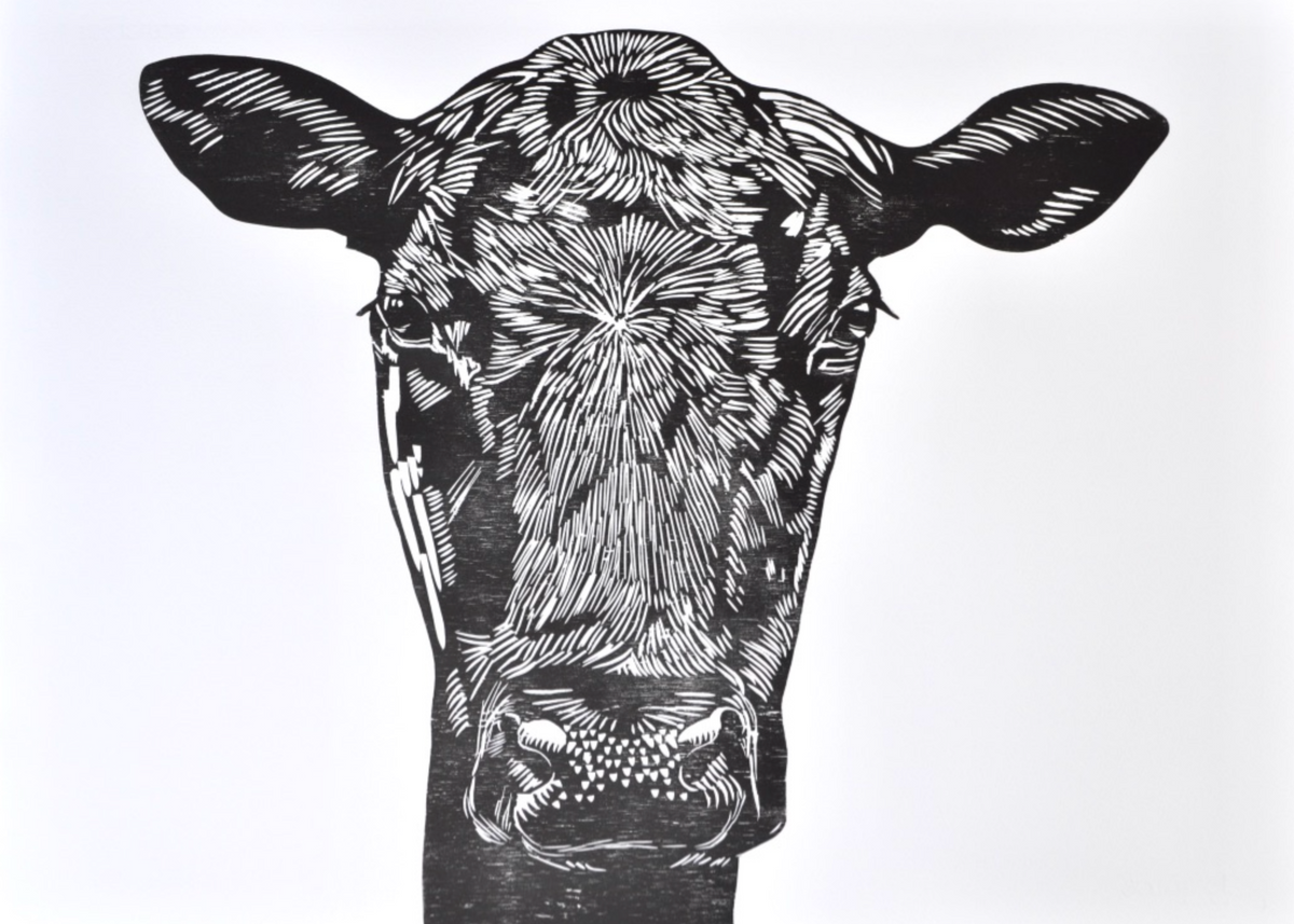 Angus