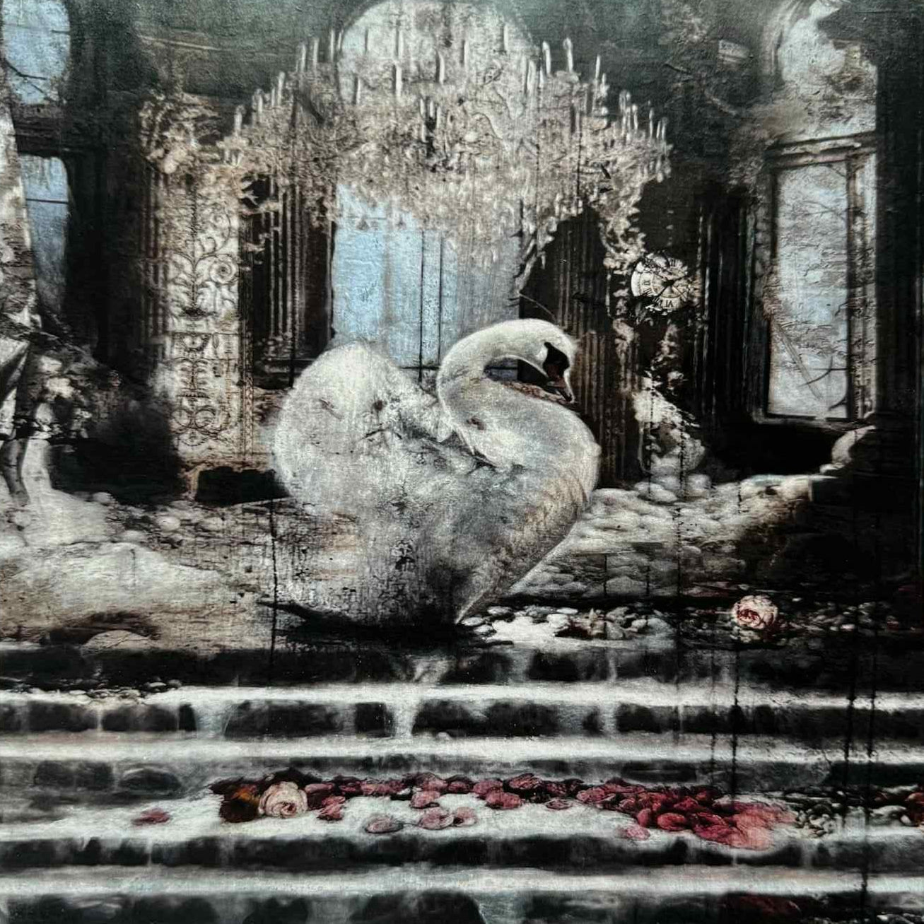 Svane reiser seg - grafikk