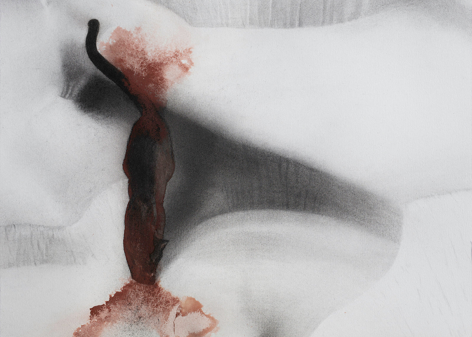 Emergence
