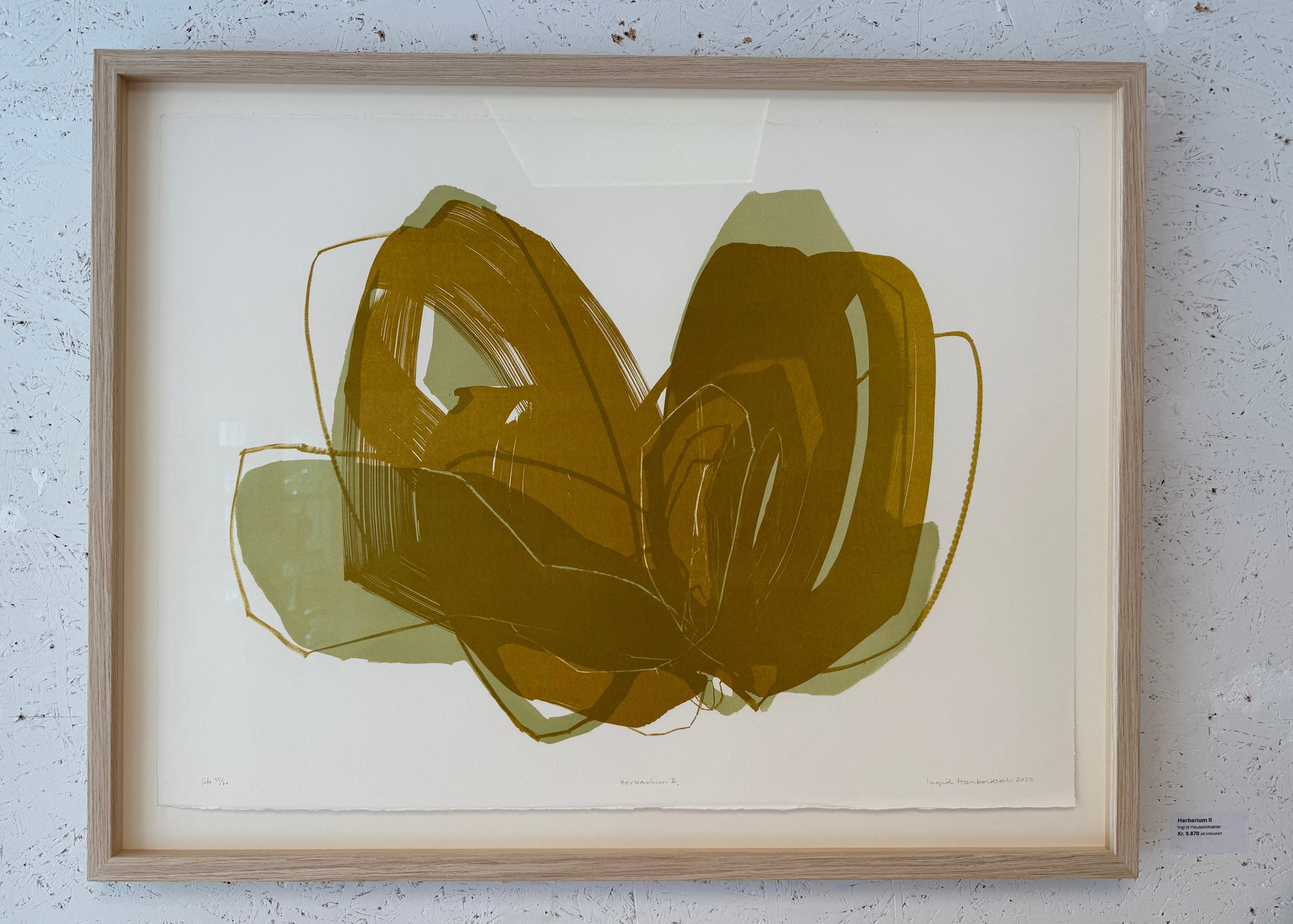 Herbarium II, innrammet