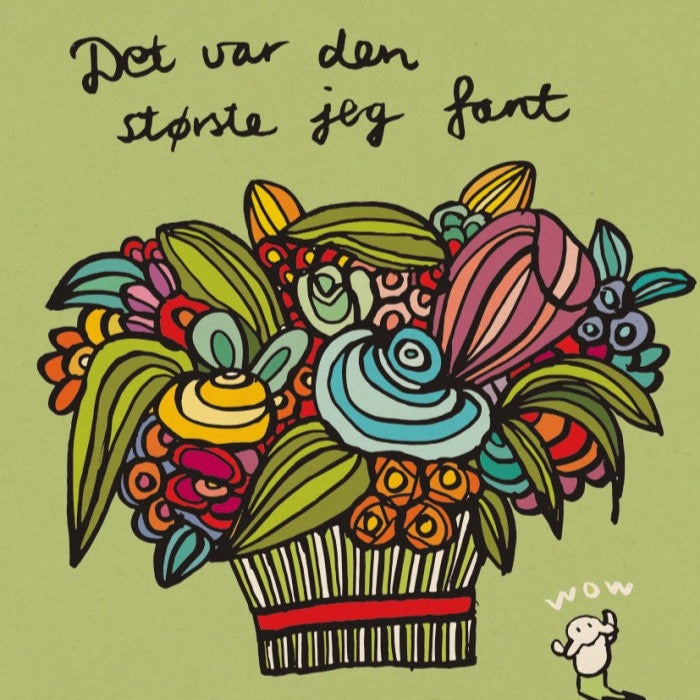 Det var den største jeg fant