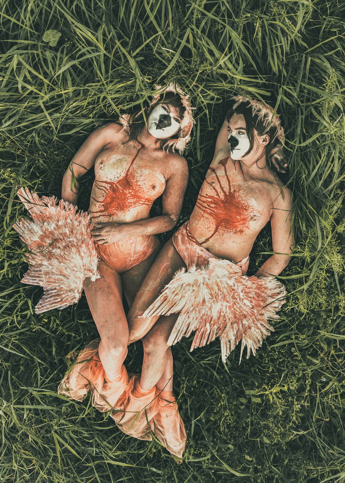 Flamingo Fatigue