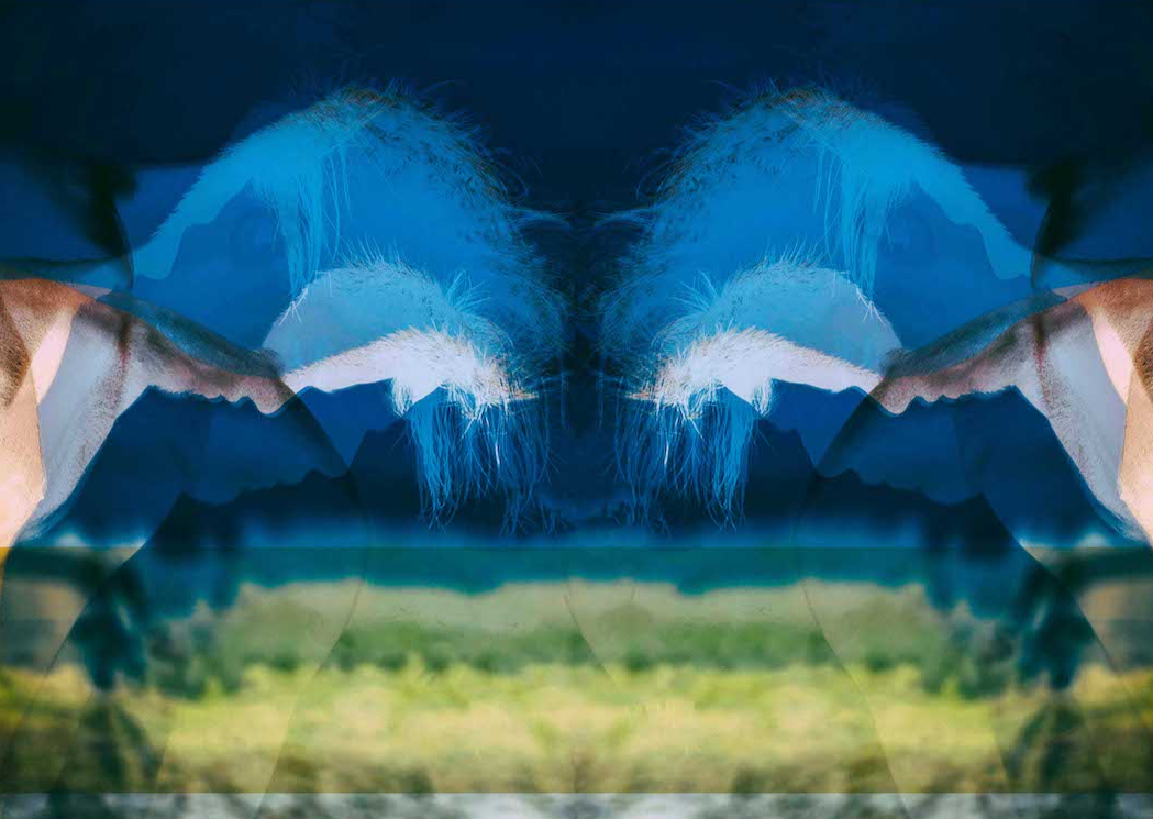 Stereo 2