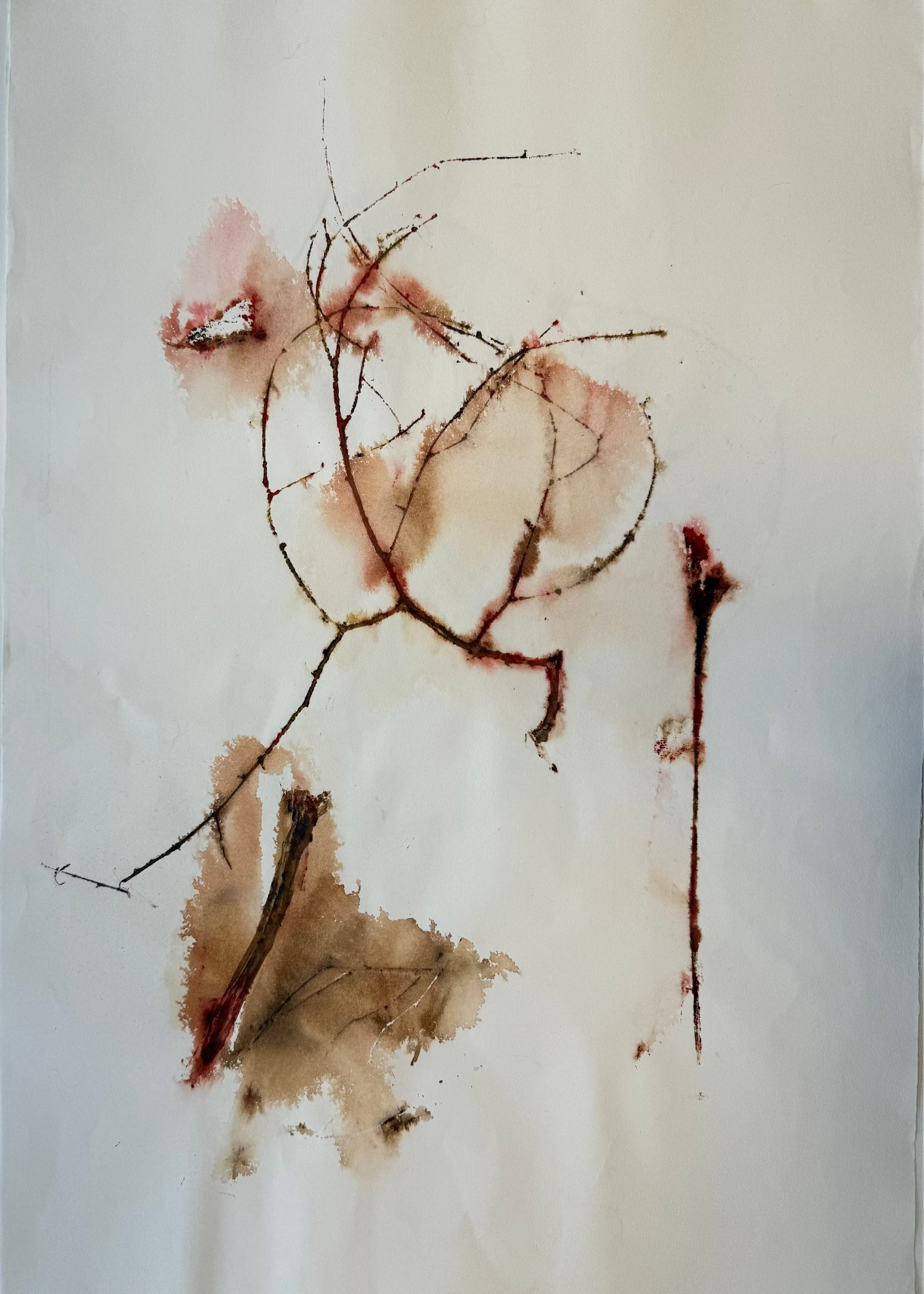 September (8. september)