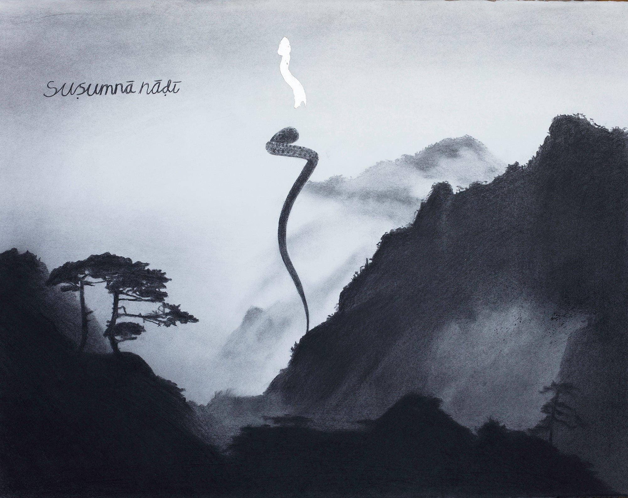 Suṣumṇa nāḍī