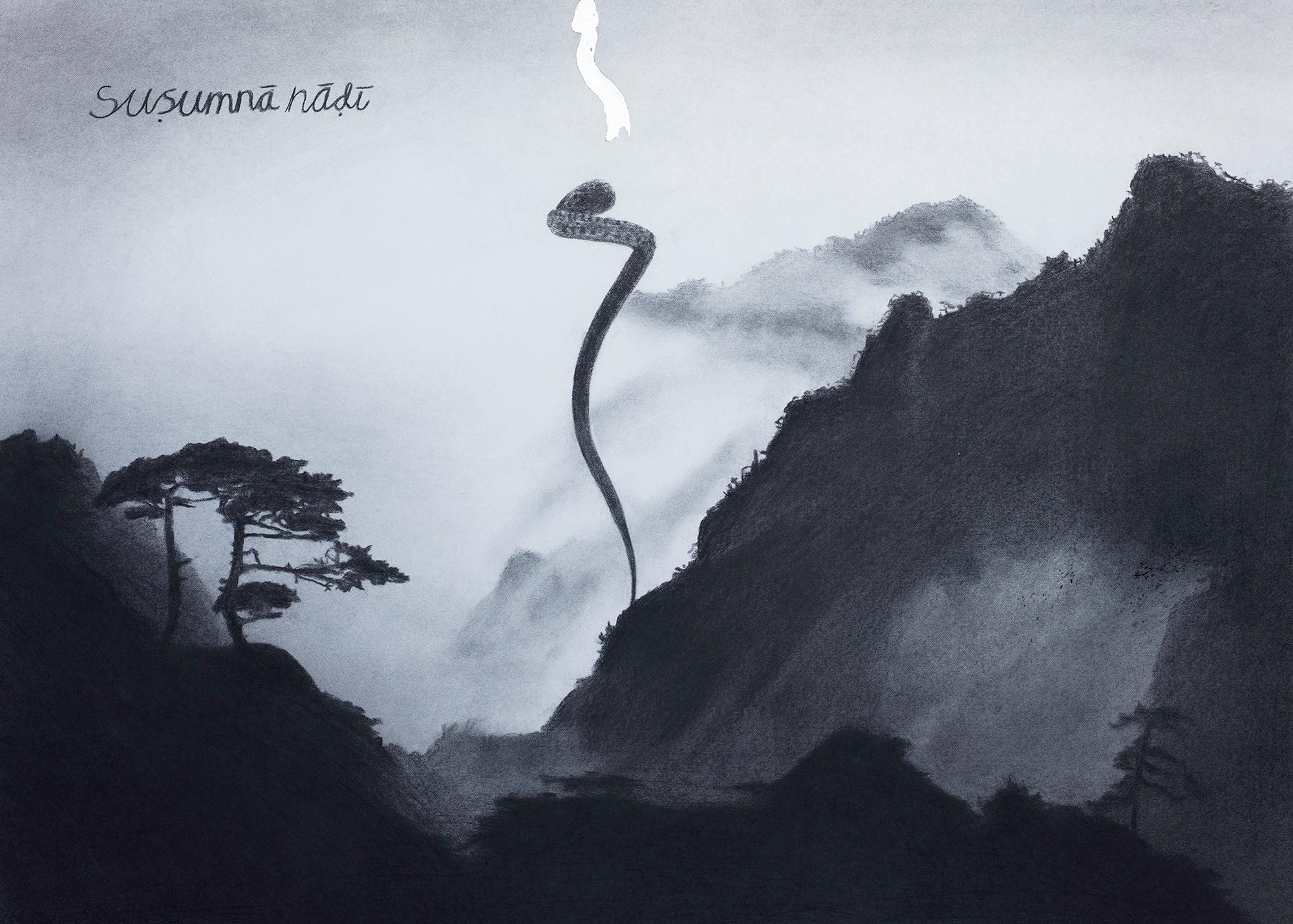 Suṣumṇa nāḍī
