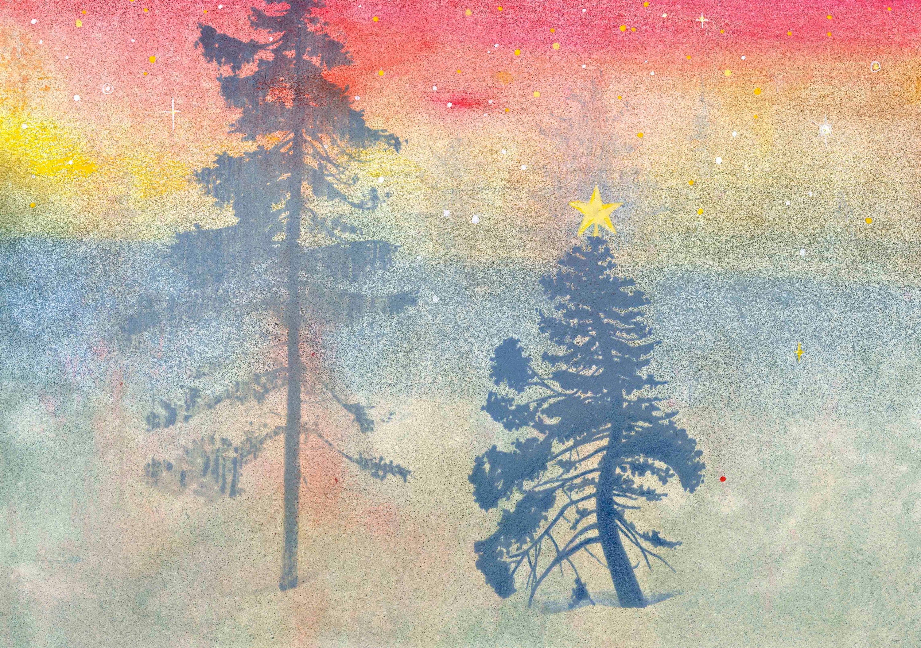 Oase - Himmel på jord