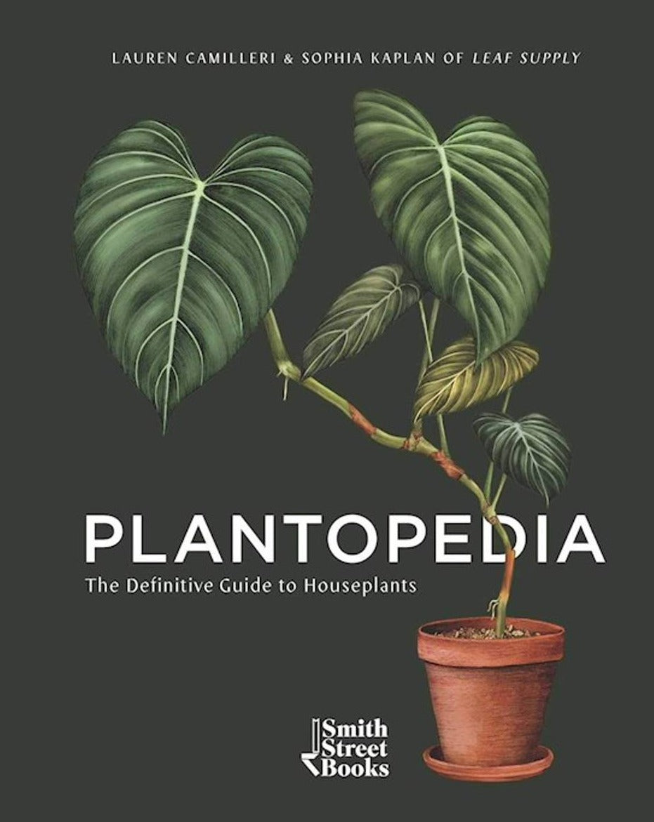 Plantopedia, The Definitive Guide to House Plants