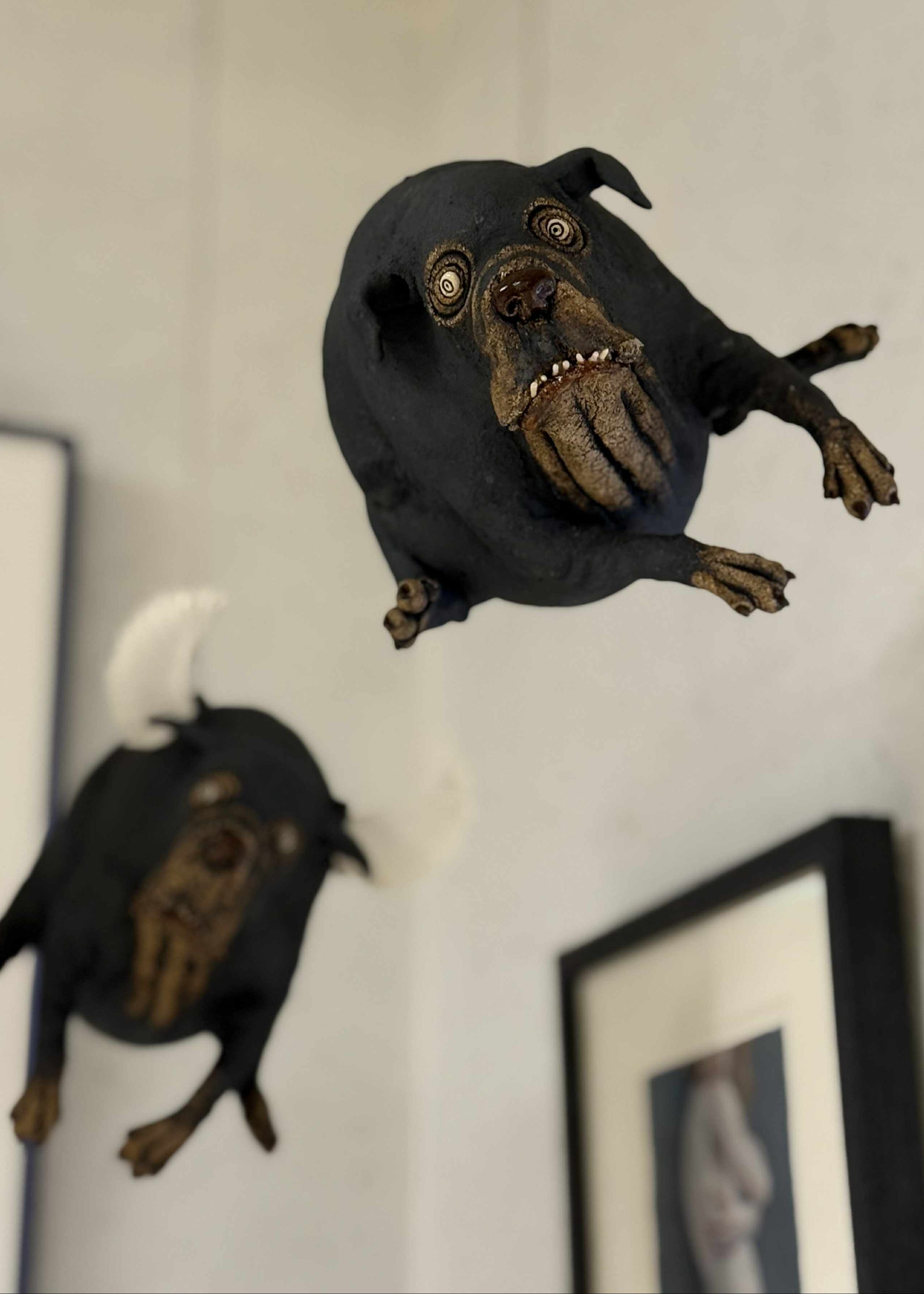 Flyvende hund - flere varianter!