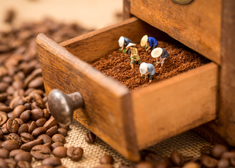 Coffee-Farming