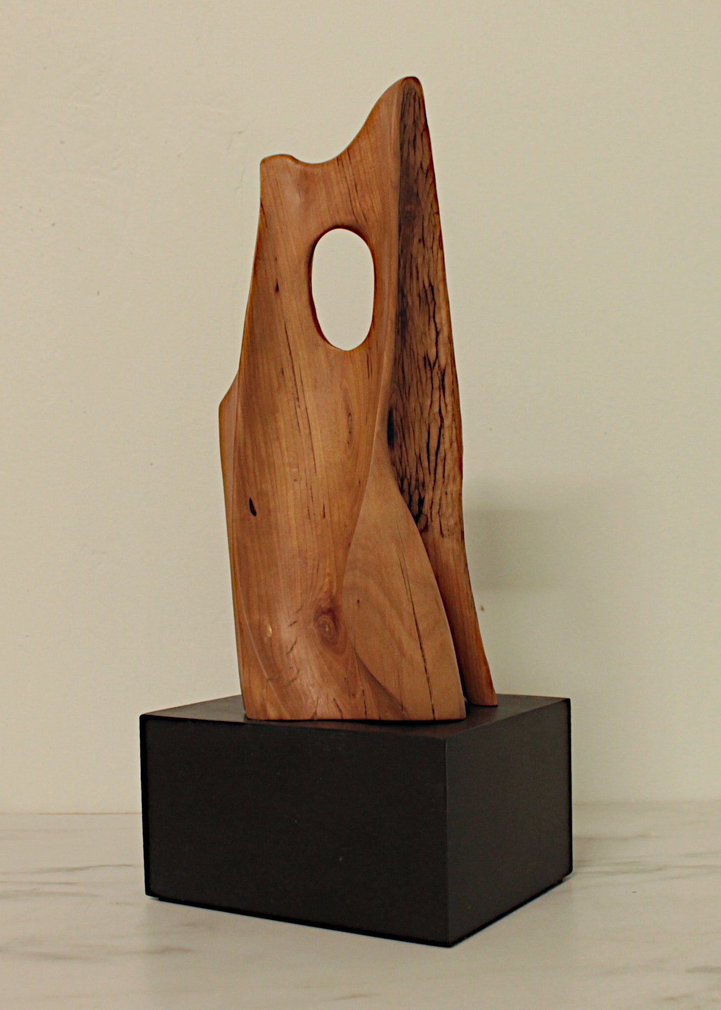 Vulva