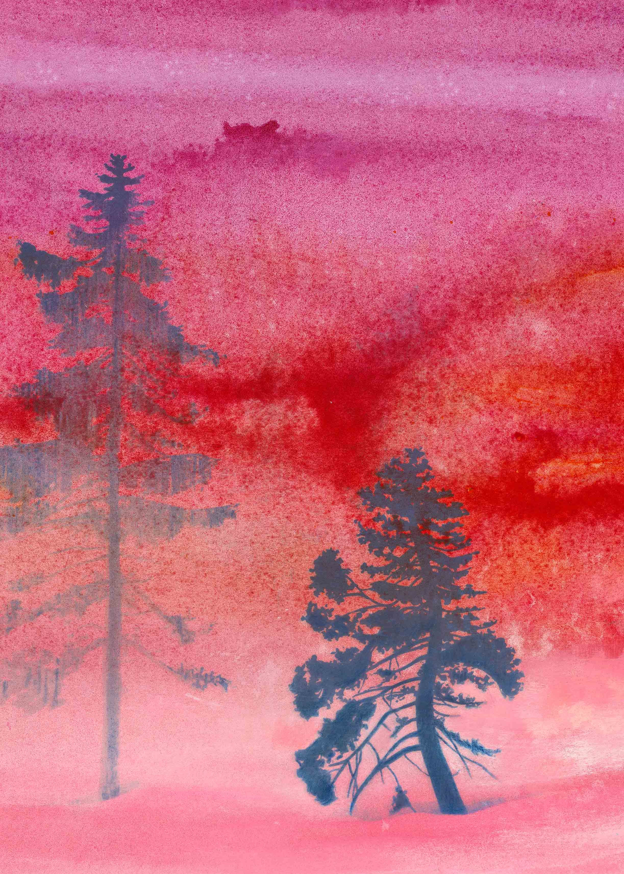 Himmel - Himmel på jord