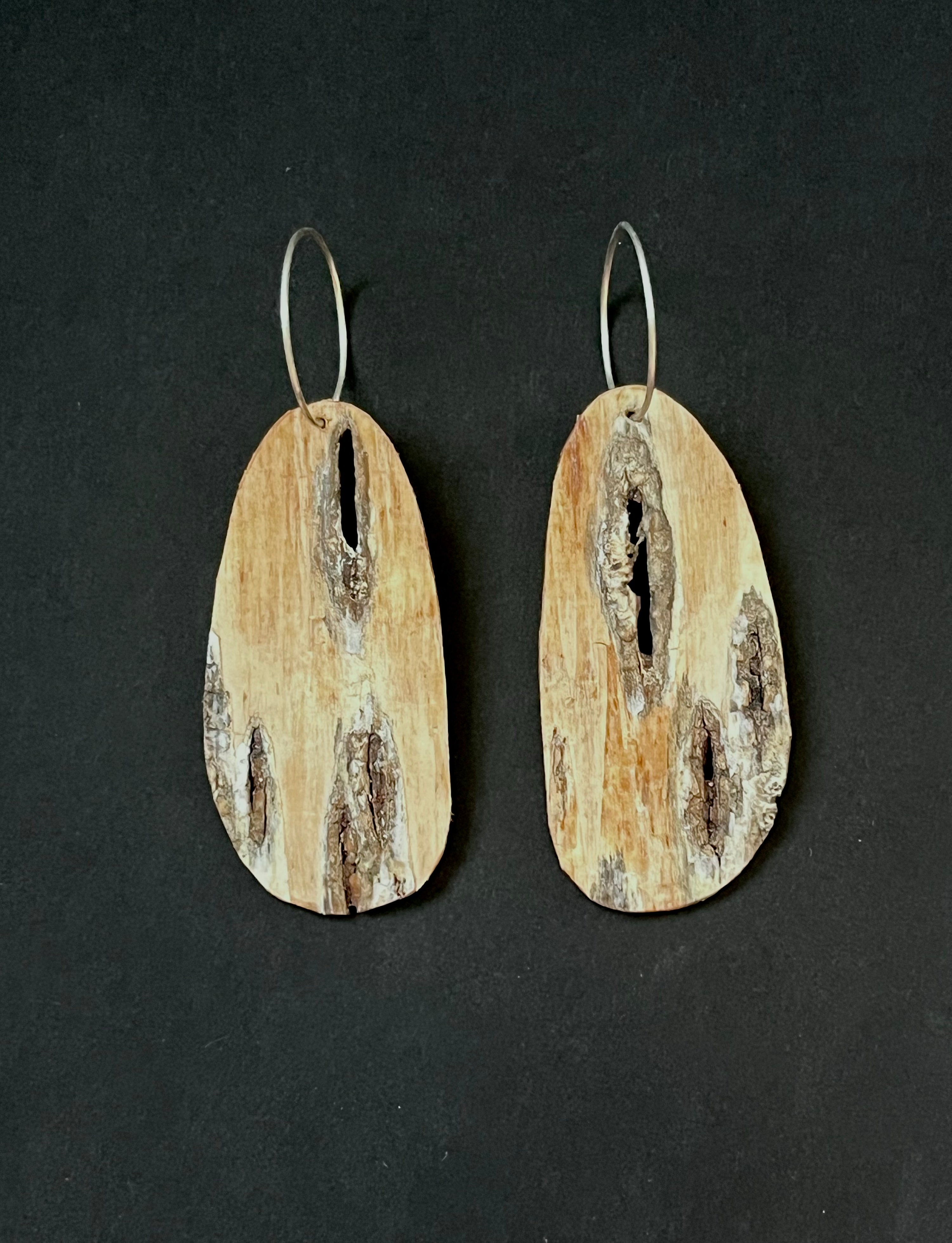 Betula (bjørk), ørepynt