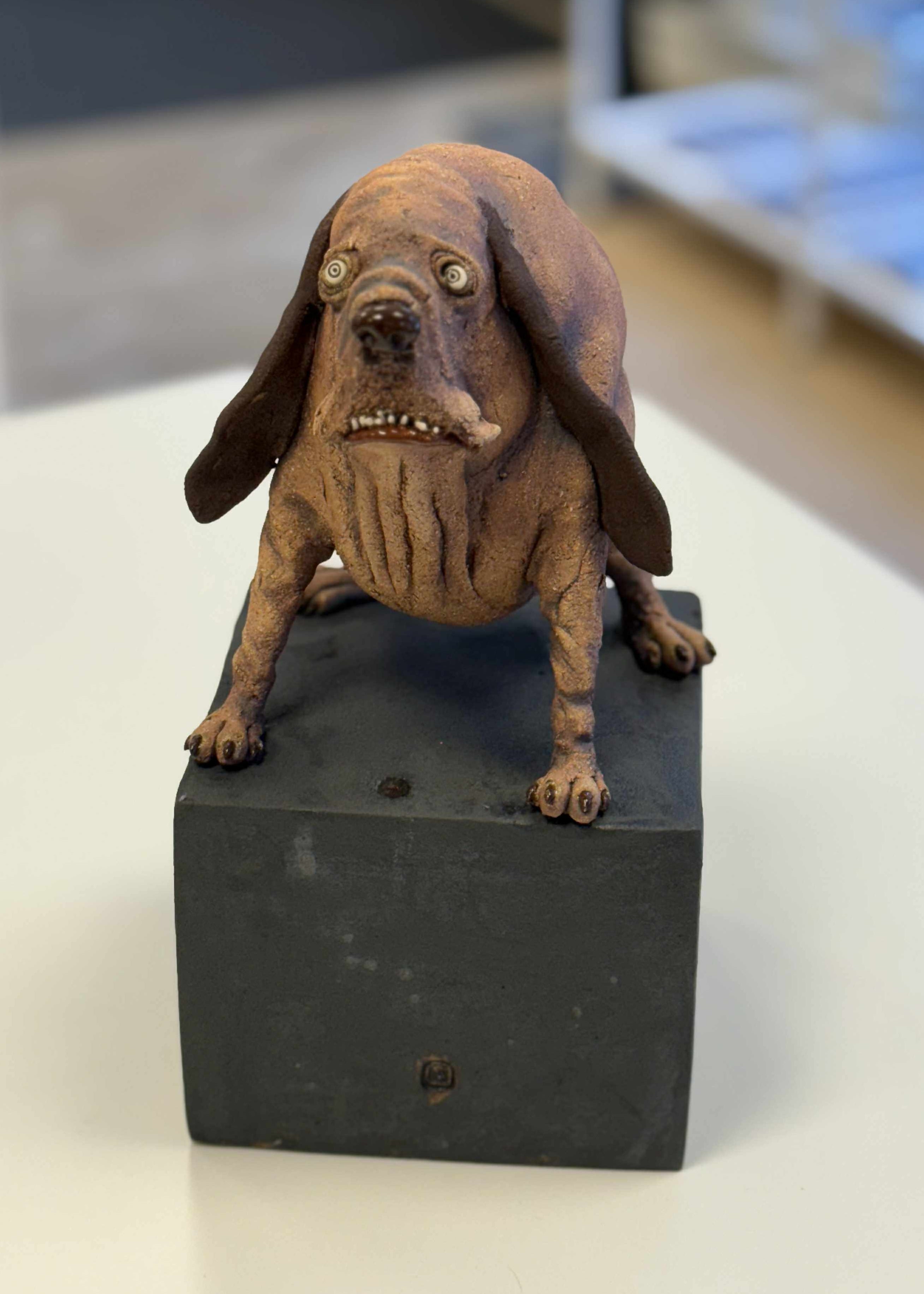 Liten hund - mange ulike varianter!