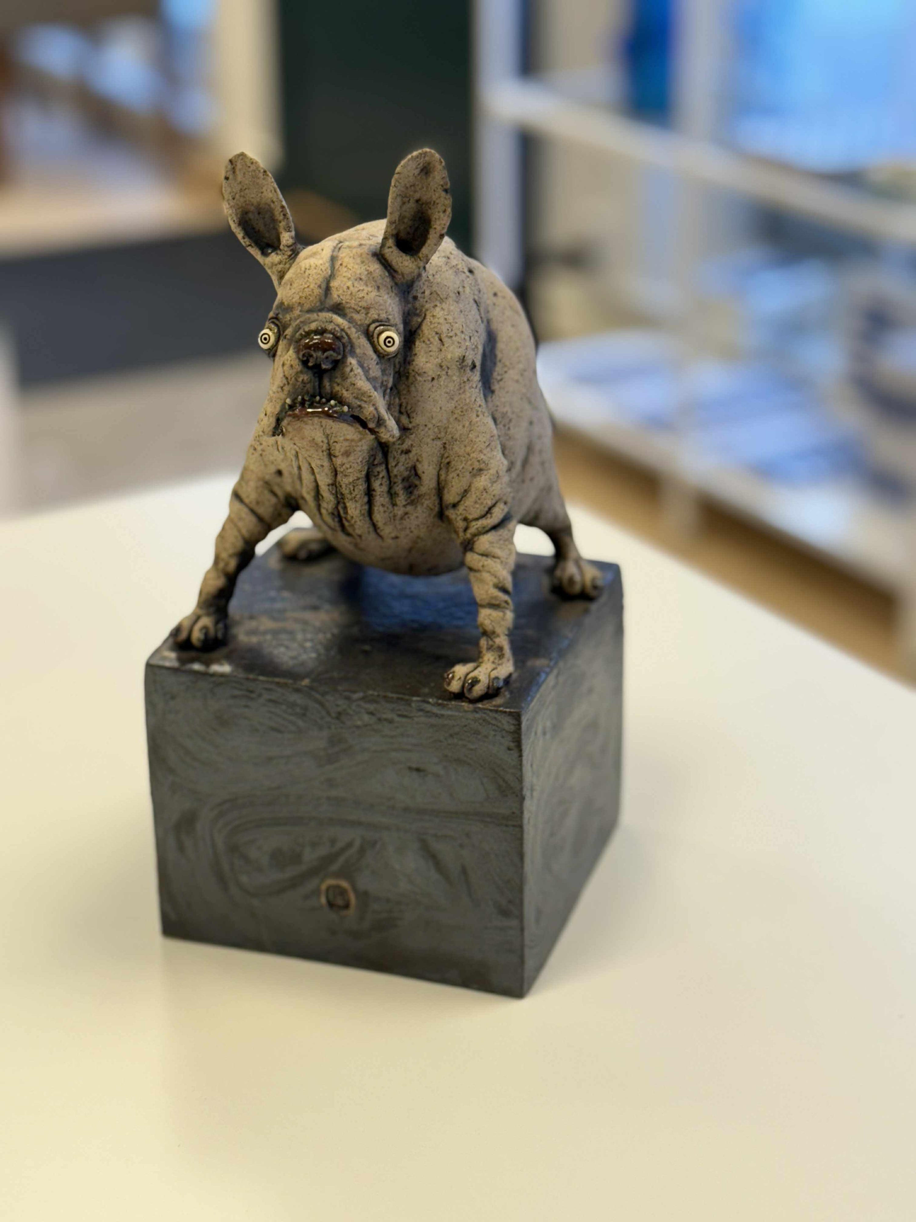 Liten hund - mange ulike varianter!