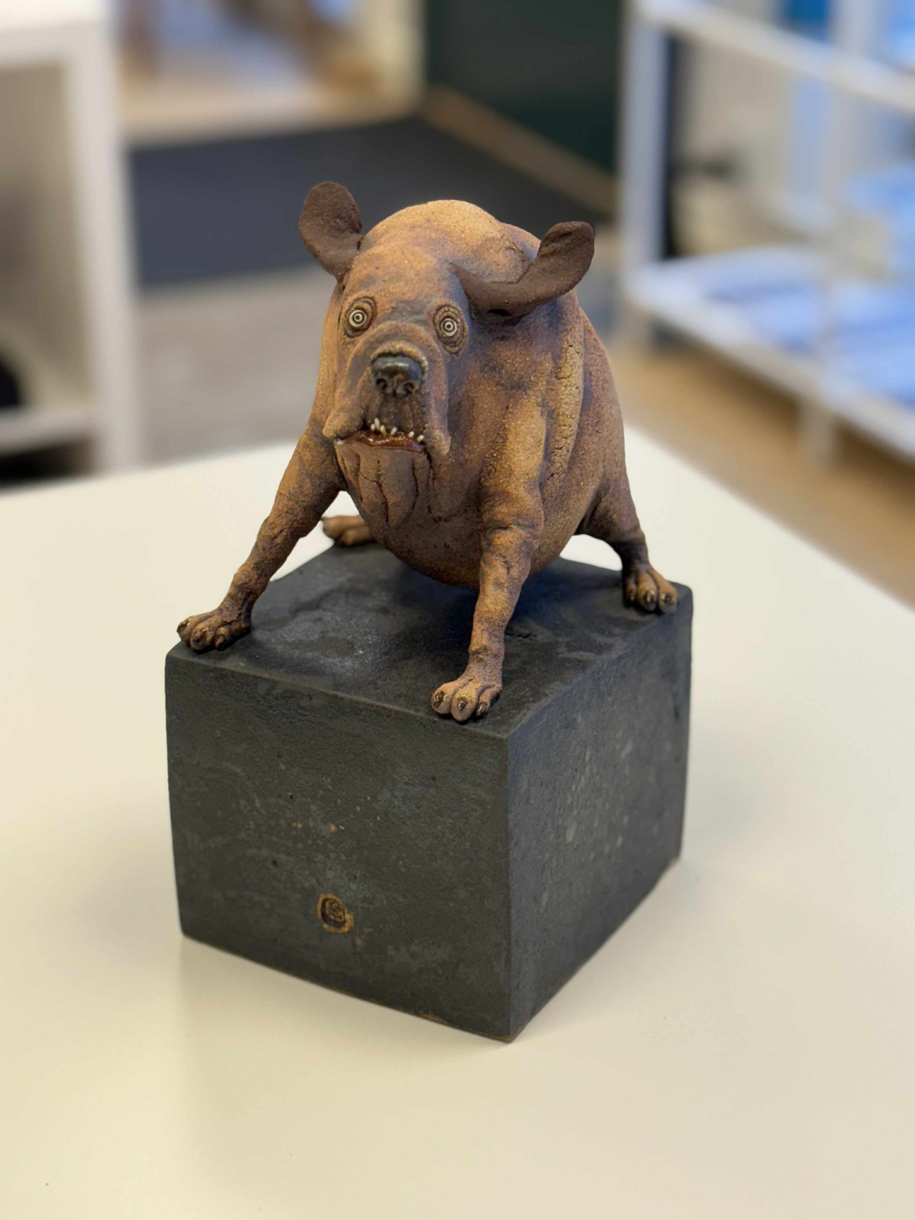 Liten hund - mange ulike varianter!