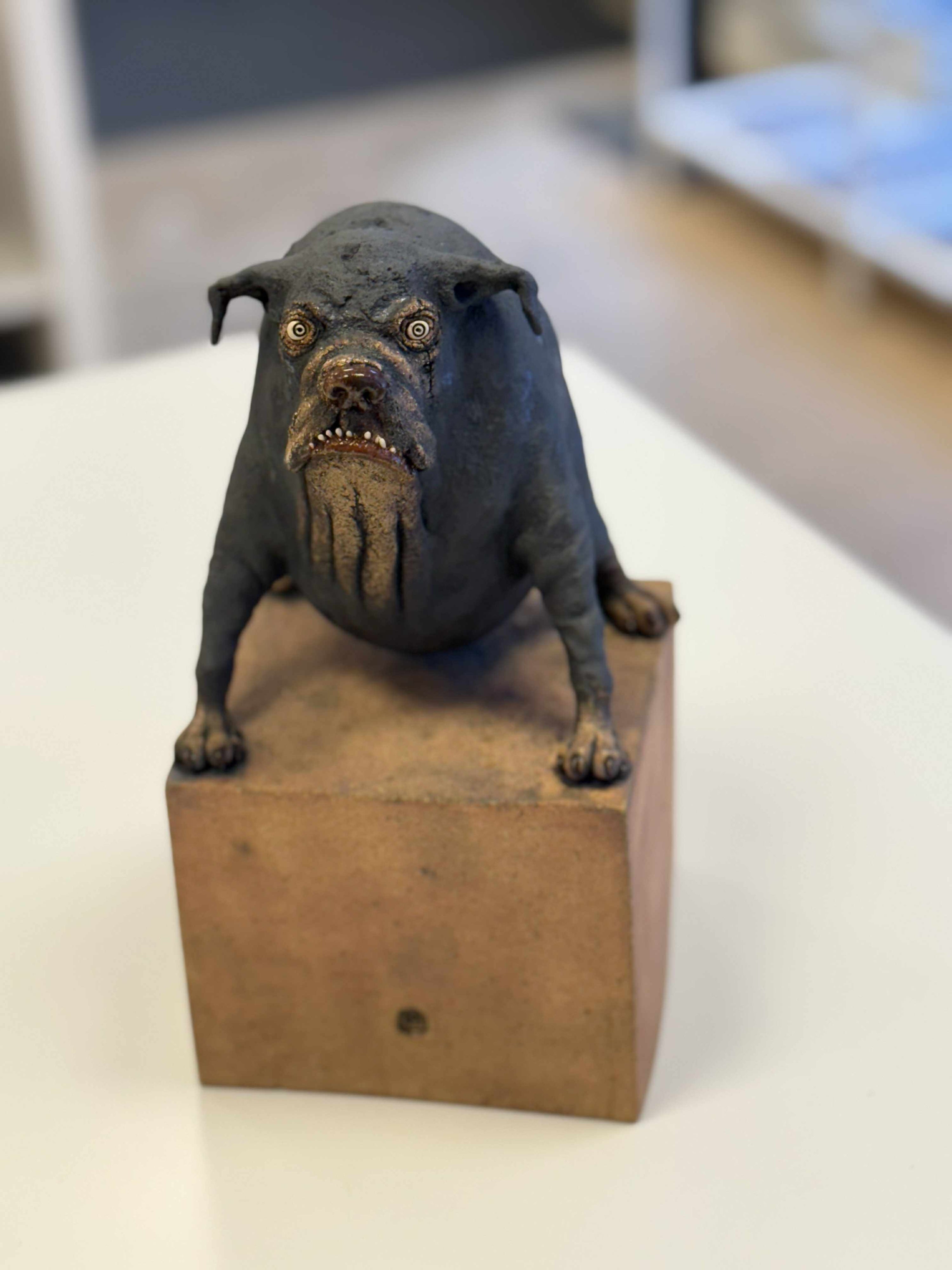 Liten hund - mange ulike varianter!