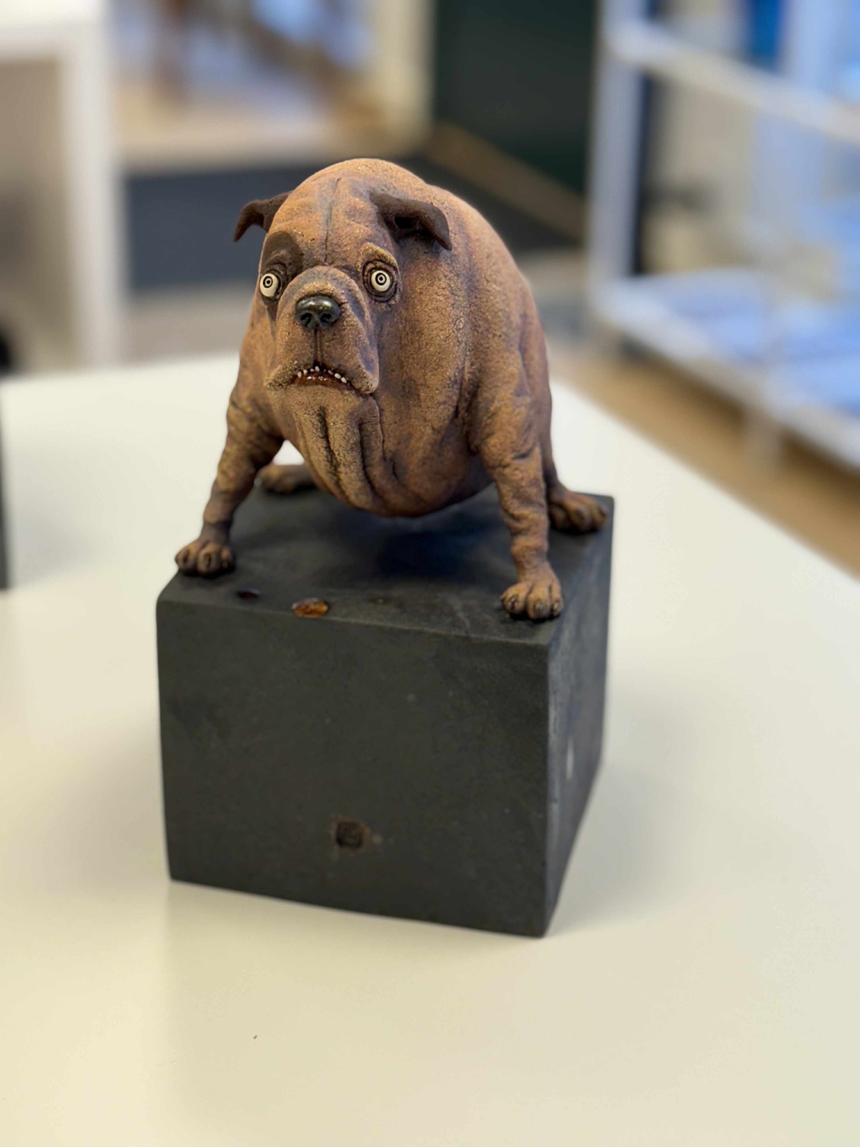 Liten hund - mange ulike varianter!