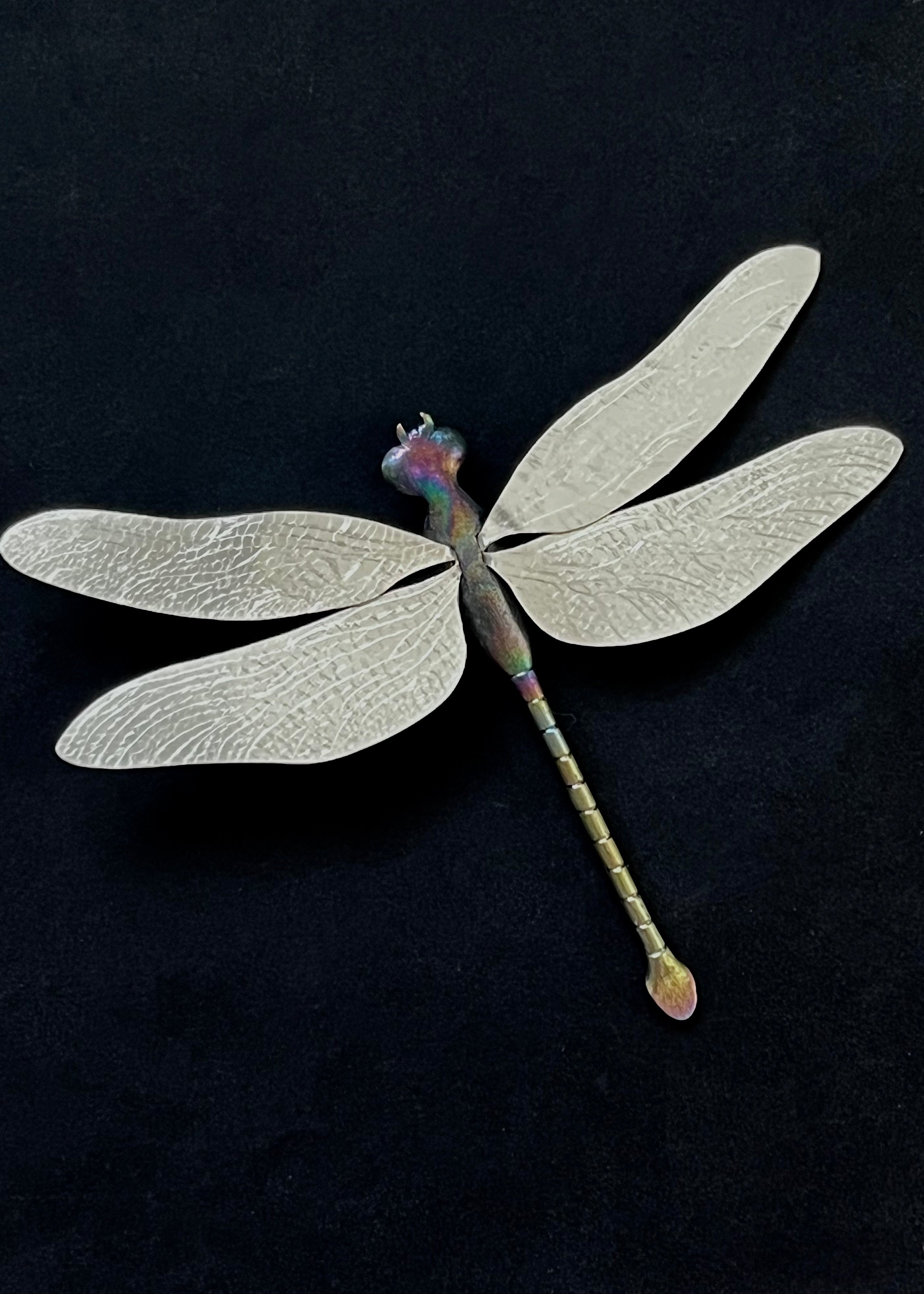 Odonata (øyenstikker), brosje